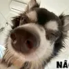 Jacinto - @jacintobento - TikTok