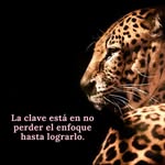 Jacinto Blanco Giron - @jacintoblancogiron - Instagram