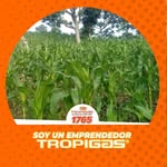 Jacinto Borja - @byronroneldojacinto - Instagram