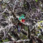 Jacinto Brito Guía de Nebaj - @nebaj_tours - Instagram