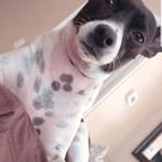 Jacinto De Leon - @deleon.jacinto - Instagram