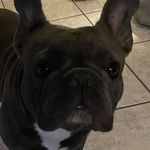 Jacinto Limon - @jacinto.limon - Instagram