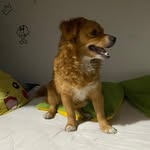 Jacinto Navarrete - @jacin_nv - Instagram