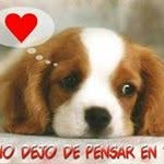 Jacinto Olvera - @olverajacinto - Instagram