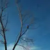 Jacinto Padilla - @jacinto.padilla - TikTok