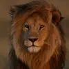 user8775518854333 - @jacintoperalta24 - TikTok