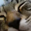 rivasjacinto2 - @rivasjacinto2 - TikTok