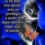 Jacinto Salazar - @jacintosalazar87 - Instagram