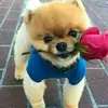 Jacinto Salazar - @user3782822049097 - TikTok