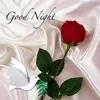 jacintosalazar31 - @jacinto.salazar96 - TikTok