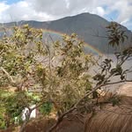 Jacinto Sandoval - @jacintosandoval51 - Instagram