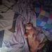 Jacinto Santos - Facebook