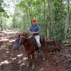 Jacinto Santos - @jacinto.santos62 - TikTok