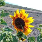 Jacinto Valentin - @valentinjacinto1950 - Instagram