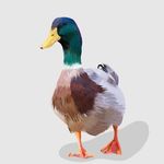 Jack Abbey - @yogamatic.shop - Instagram