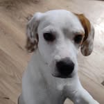 @jacka.bee - Instagram