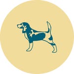 The Jackabee Candle Company: Hand Poured Soy Candles - @jackabeecandlecompany - Instagram