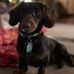 Jack Absher - Facebook