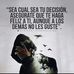 Jack Acevedo - Facebook