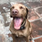 Jack Acevedo - @jack.esperrow - Instagram