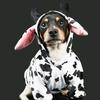 Jack Acevedo ( alias la vaca ) - @jackacevedojimenez - TikTok