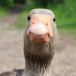 Jack acres - @jackacres02 - Instagram