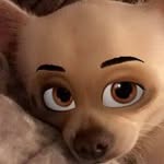 Jack Acton-Myers - @excellent_chichi - Instagram