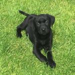 Jack Adcock - @adcock2738 - Instagram