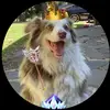 Jack Adcock - @connor.4145 - TikTok