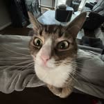jack addington - @jackthecoolest97 - Instagram