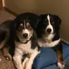 jack - @jackieaddington7 - TikTok