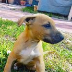 Jack 🐶 - @jack__agudo_ - Instagram