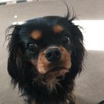 Jack Aguilera - @jackgoobergoober - Instagram