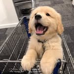 Jack Ainsworth - @jack_e_ainsworth - Instagram