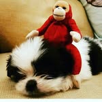 jack Alameda - @jack.alameda - Instagram