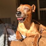 Jack Albert - @jackalbert6 - Instagram