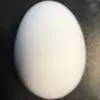Exploded egg :-) - @jackpualalbertson - TikTok