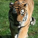 Jack Albertson - @right_place_and_time_wildlife - Instagram