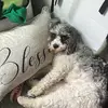 Jake Alessi - @jake.alessi - TikTok