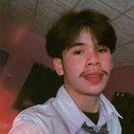 แมวขาว🦋 - @jack__alfred - Instagram