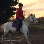 Jack A scott - @jack_alfred_scott1 - Instagram