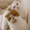 share happiness - @jackalger2022 - TikTok