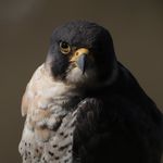 Jack Allerton - @jackallertonphotos - Instagram