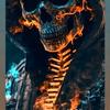 Jackal Mythology - @jackal.mythology - TikTok