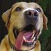 Jack Do Amaral Moteka - Facebook