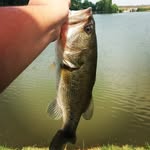 giacomo - @jack_angler_ - Instagram