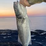 @jackangling2024 - Instagram