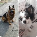 🖤-Argo_Jack-🖤 - @argo_jack - Instagram