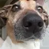 Argo jack - @argo.jack - TikTok