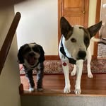Jack Argo - @argojack - Instagram